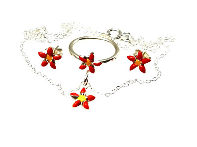 Set argint 925 cod: S70_2.7_2174 Set argint 925 cod: S70_2.7_2174